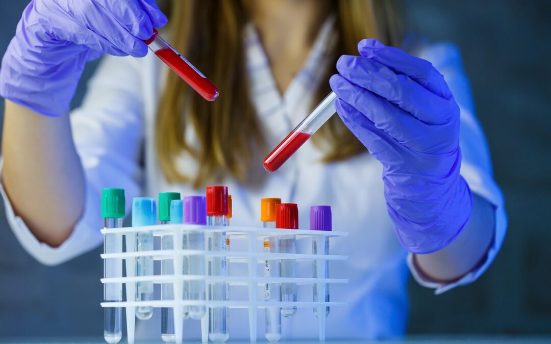 Comment fonctionne une étuve de laboratoire ?